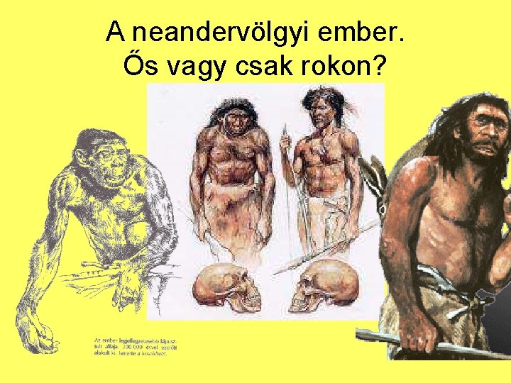 A neandervölgyi ember. Ős vagy csak rokon? 
