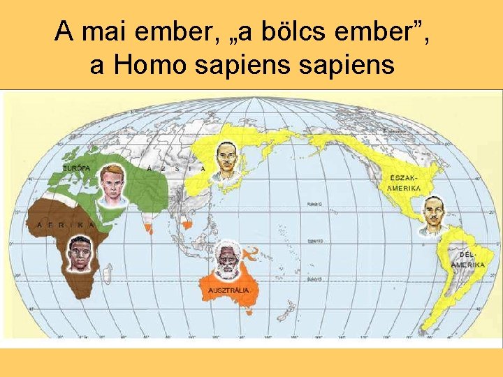 A mai ember, „a bölcs ember”, a Homo sapiens 