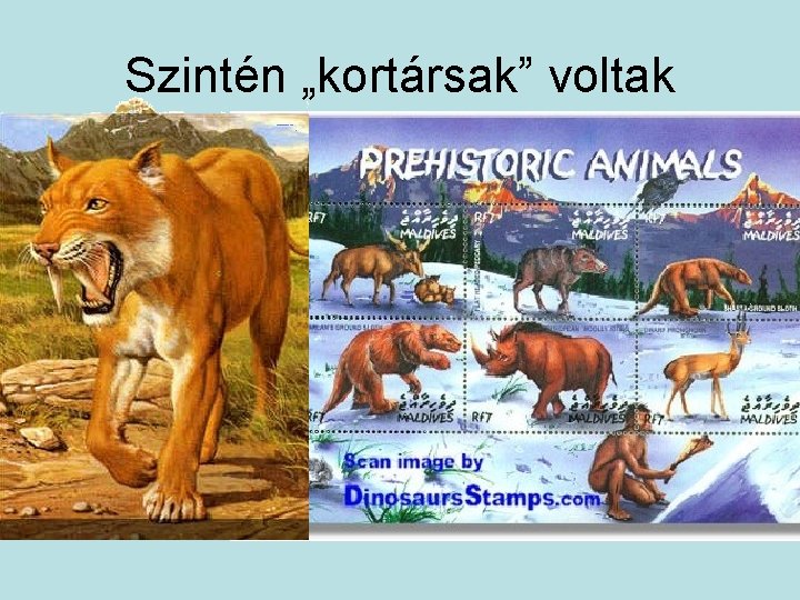 Szintén „kortársak” voltak 