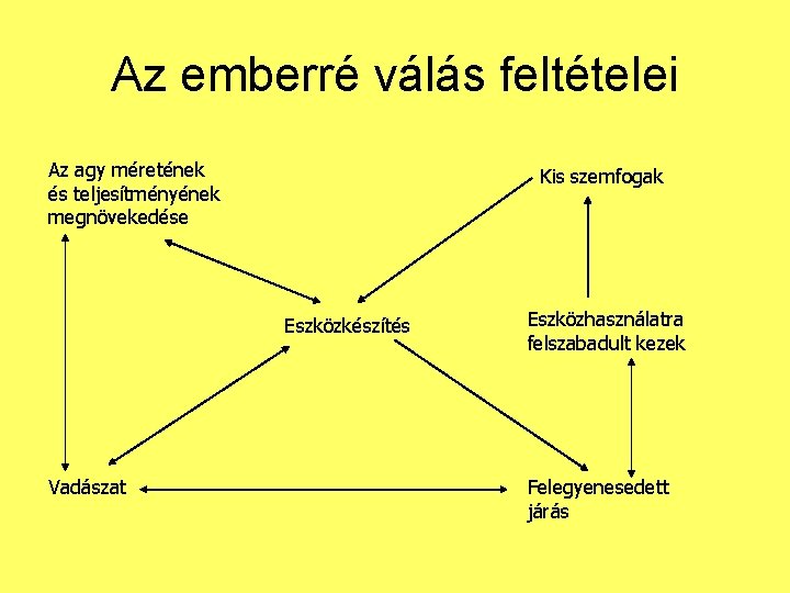 Az emberré válás feltételei Az agy méretének és teljesítményének megnövekedése Kis szemfogak Eszközkészítés Vadászat