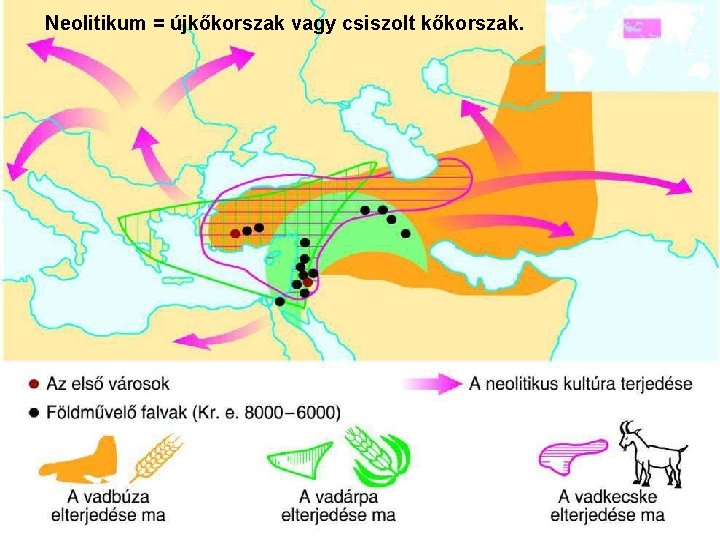 Neolitikum = újkőkorszak vagy csiszolt kőkorszak. 