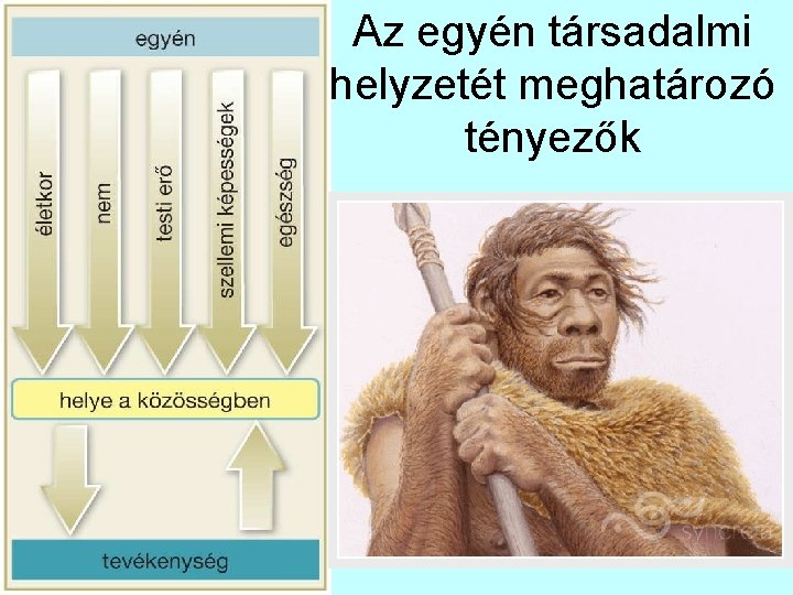 Az egyén társadalmi helyzetét meghatározó tényezők 