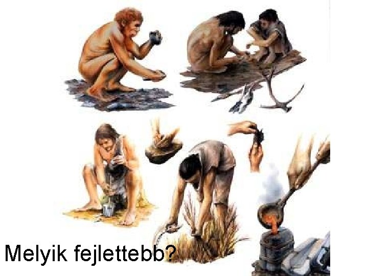 Melyik fejlettebb? 