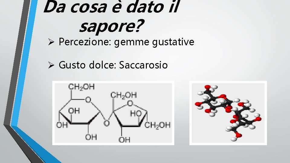 Da cosa è dato il sapore? Ø Percezione: gemme gustative Ø Gusto dolce: Saccarosio