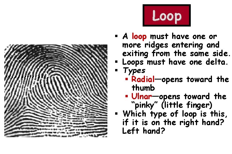 Loop § A loop must have one or more ridges entering and exiting from