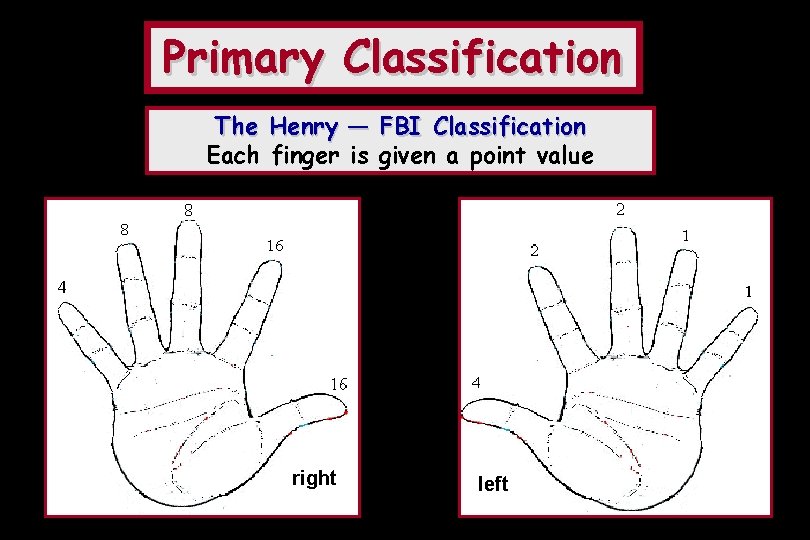 Primary Classification The Henry — FBI Classification Each finger is given a point value