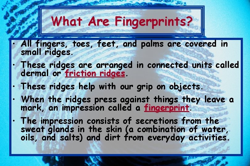 What Are Fingerprints? • All fingers, toes, feet, and palms are covered in small