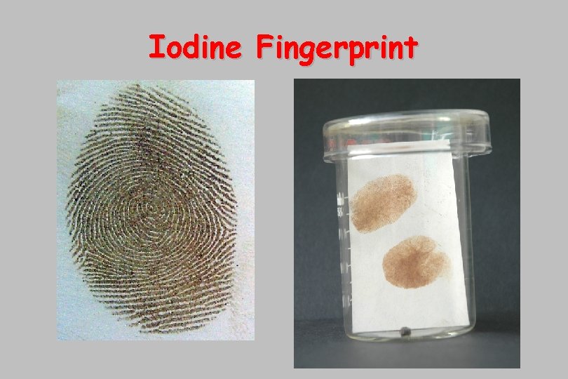 Iodine Fingerprint 