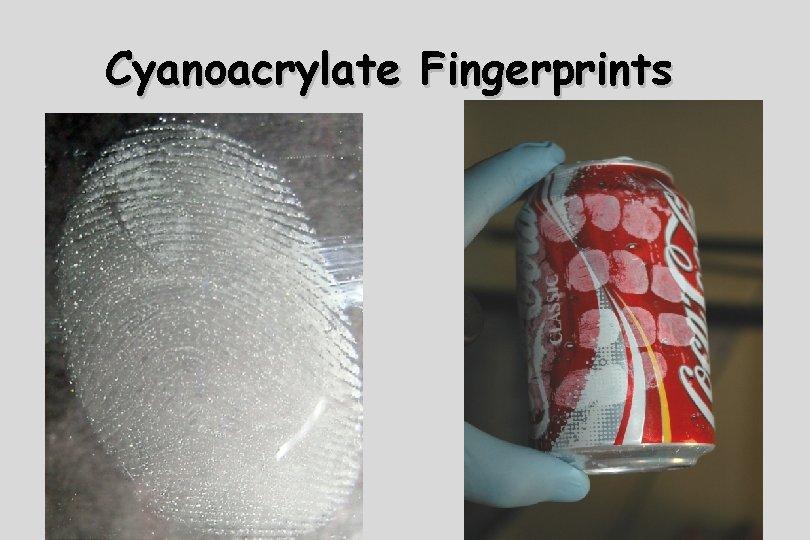 Cyanoacrylate Fingerprints 