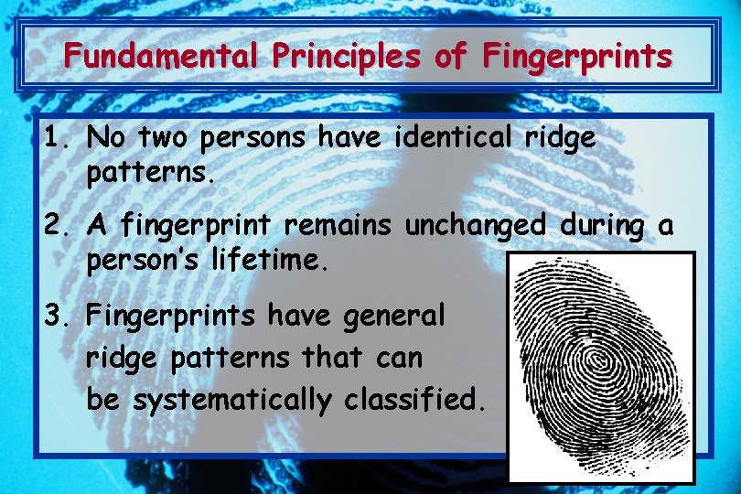 Fundamental Principles of Fingerprints 1. No two persons have identical ridge patterns. 2. A