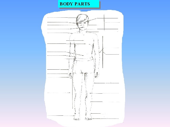 BODY PARTS 