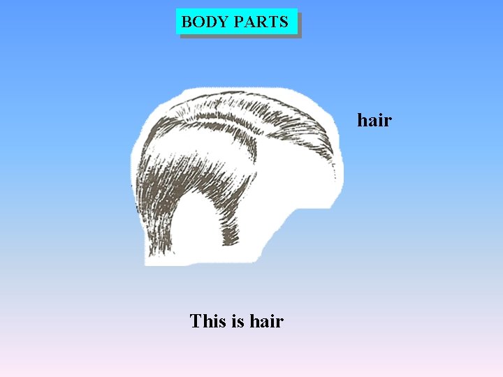 BODY PARTS hair This is hair 