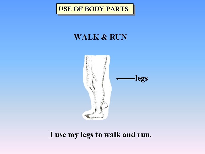 USE OF BODY PARTS WALK & RUN legs I use my legs to walk