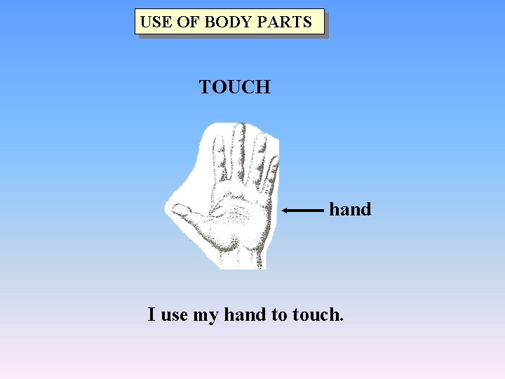 USE OF BODY PARTS TOUCH hand I use my hand to touch. 