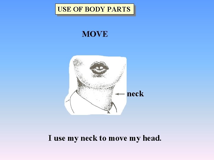 USE OF BODY PARTS MOVE neck I use my neck to move my head.