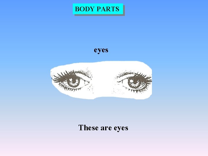 BODY PARTS eyes These are eyes 
