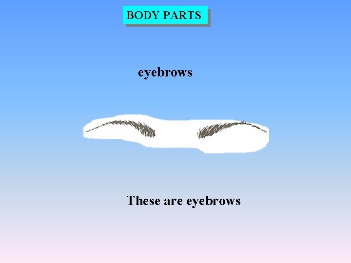 BODY PARTS eyebrows These are eyebrows 