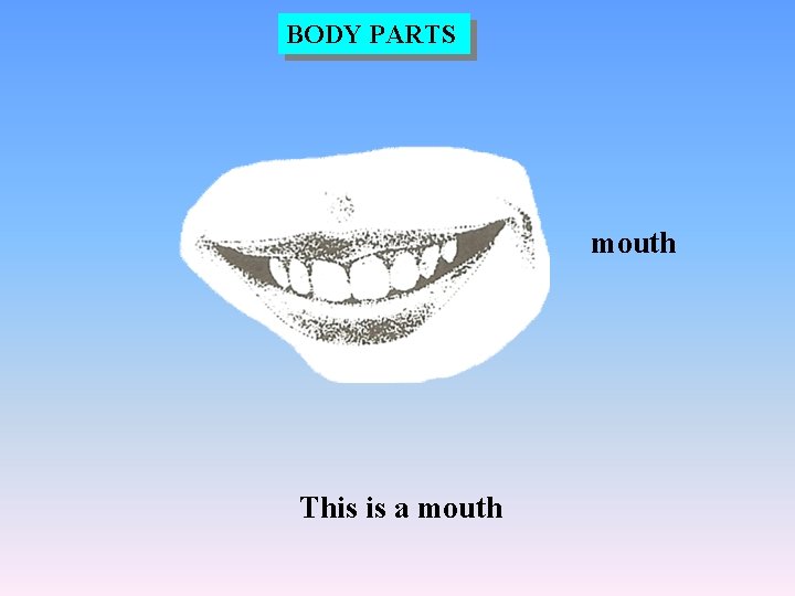 BODY PARTS mouth This is a mouth 