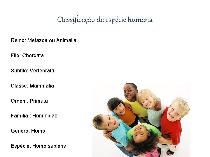 Classificação da espécie humana Reino: Metazoa ou Animalia Filo: Chordata Subfilo: Vertebrata Classe: Mammalia