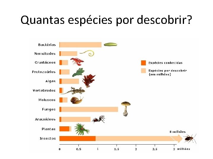 Quantas espécies por descobrir? 