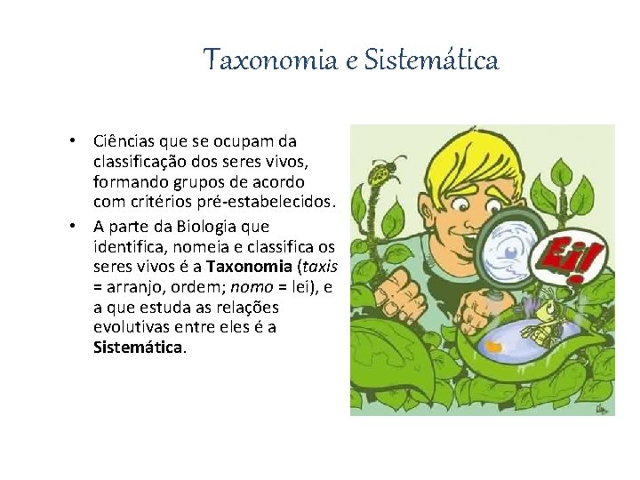 Taxonomia e Sistemática • Ciências que se ocupam da classificação dos seres vivos, formando