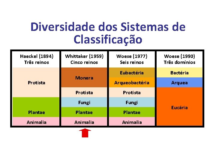 Diversidade dos Sistemas de Classificação Haeckel (1894) Três reinos Protista Whittaker (1959) Cinco reinos