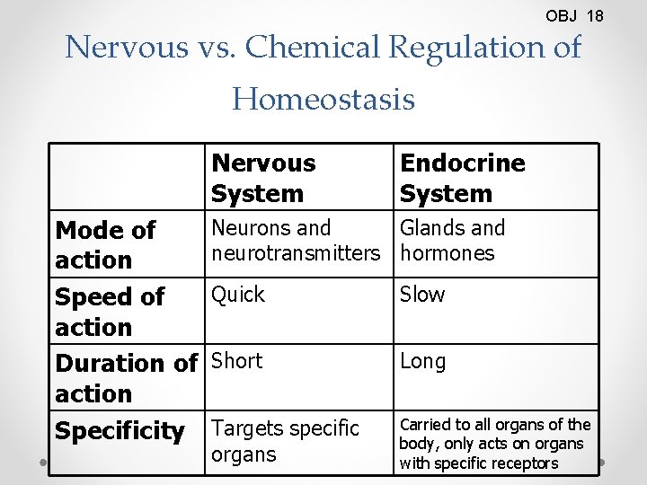 OBJ 18 Nervous vs. Chemical Regulation of Homeostasis Nervous System Mode of action Speed