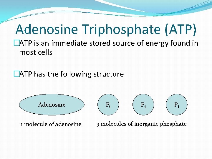 Adenosine Triphosphate (ATP) �ATP is an immediate stored source of energy found in most