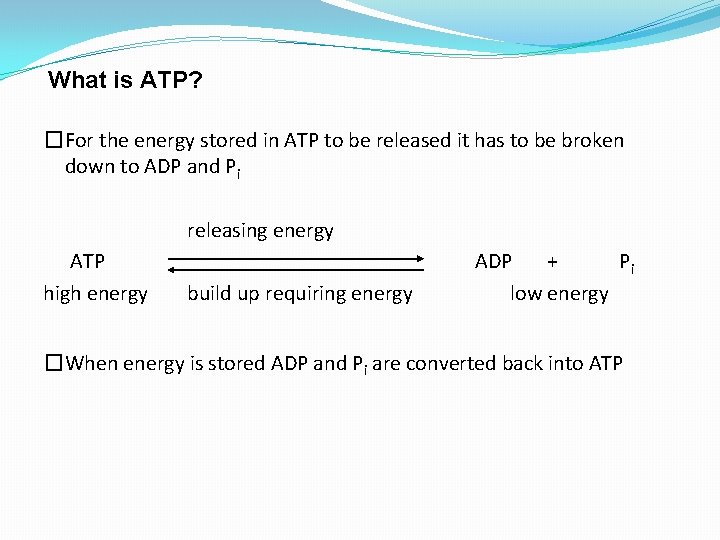 What is ATP? �For the energy stored in ATP to be released it has