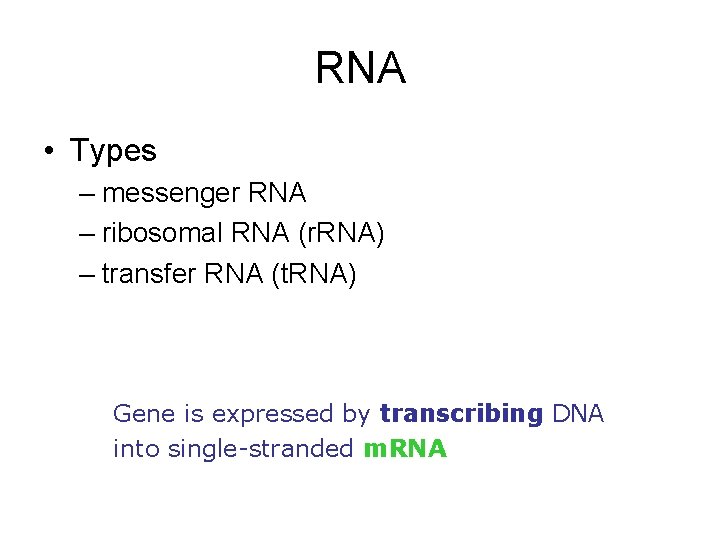 RNA • Types – messenger RNA – ribosomal RNA (r. RNA) – transfer RNA