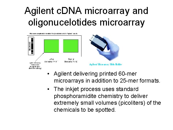 Agilent c. DNA microarray and oligonucelotides microarray • Agilent delivering printed 60 -mer microarrays