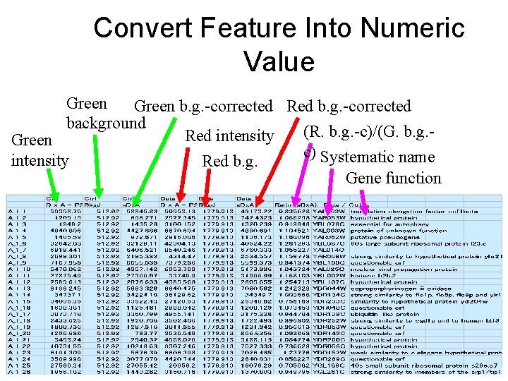 Convert Feature Into Numeric Value Green b. g. -corrected Red b. g. -corrected background