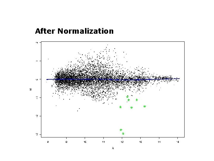 After Normalization 