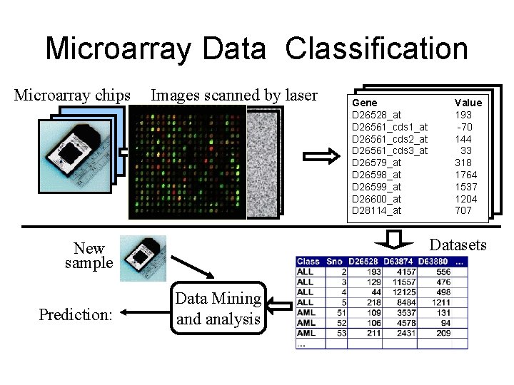 Microarray Data Classification Microarray chips Images scanned by laser Value 193 -70 144 33