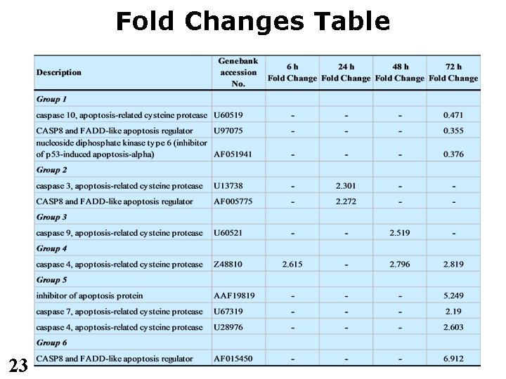 Fold Changes Table 23 