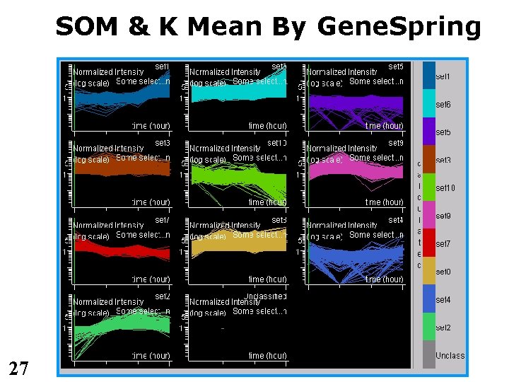 SOM & K Mean By Gene. Spring 27 