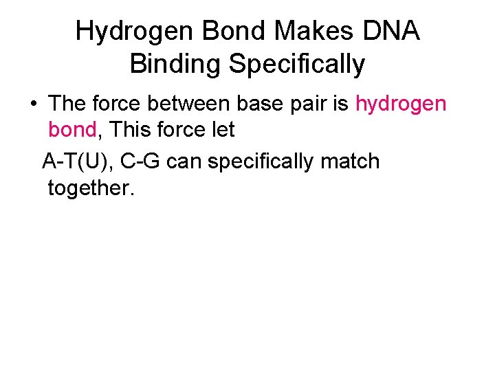 Hydrogen Bond Makes DNA Binding Specifically • The force between base pair is hydrogen