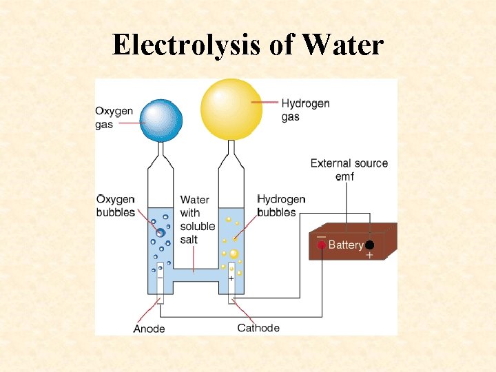 Electrolysis of Water 