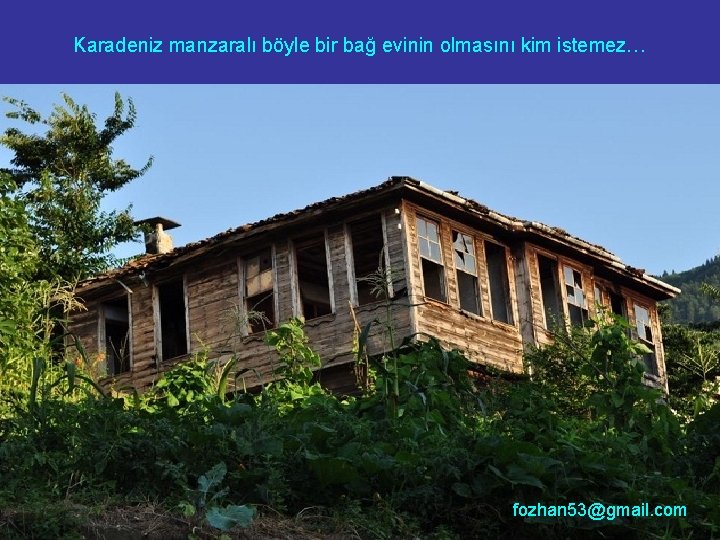 Karadeniz manzaralı böyle bir bağ evinin olmasını kim istemez… fozhan 53@gmail. com 