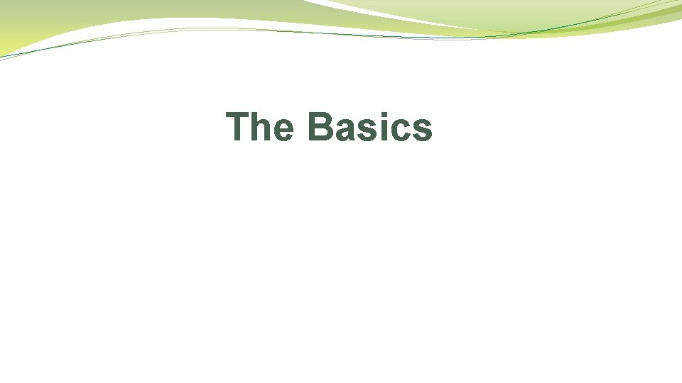 The Basics 