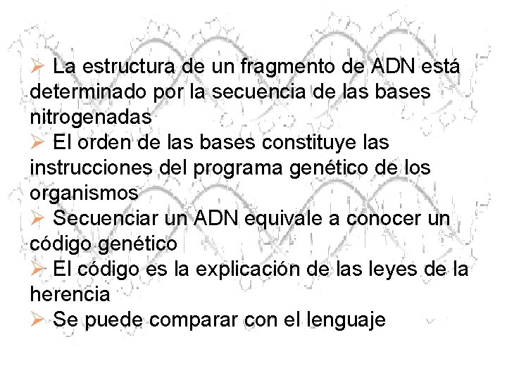 Ø La estructura de un fragmento de ADN está determinado por la secuencia de