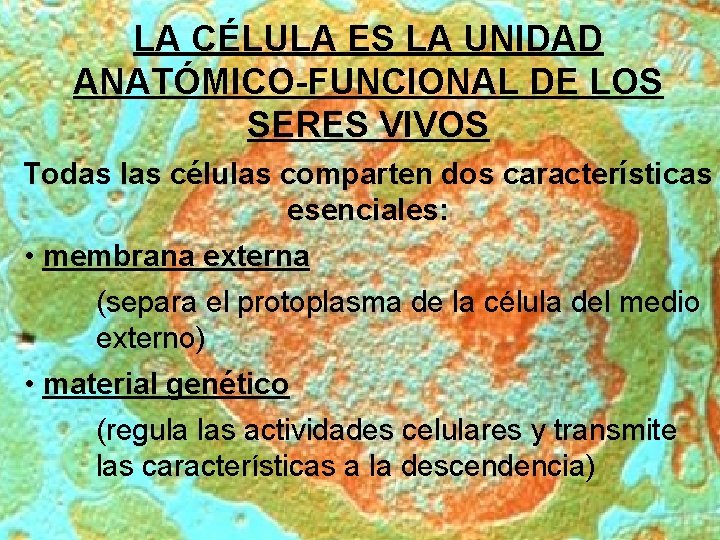 LA CÉLULA ES LA UNIDAD ANATÓMICO-FUNCIONAL DE LOS SERES VIVOS Todas las células comparten