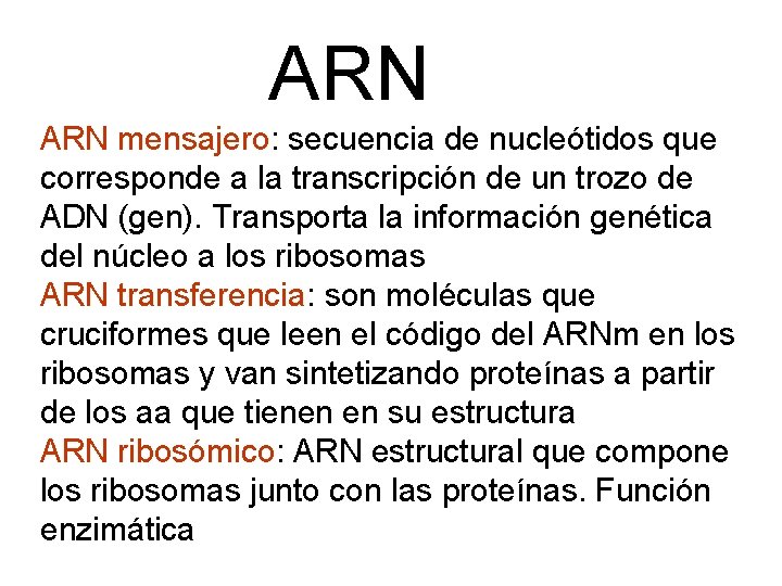 ARN mensajero: secuencia de nucleótidos que corresponde a la transcripción de un trozo de