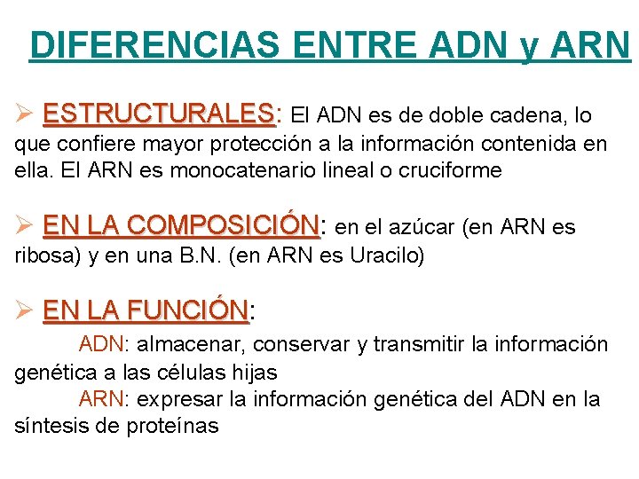 DIFERENCIAS ENTRE ADN y ARN Ø ESTRUCTURALES: ESTRUCTURALES El ADN es de doble cadena,