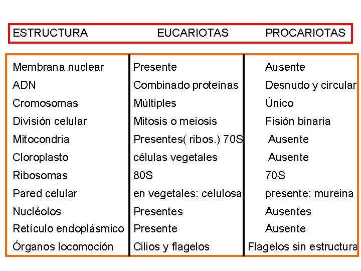 ESTRUCTURA EUCARIOTAS PROCARIOTAS Membrana nuclear Presente Ausente ADN Combinado proteínas Desnudo y circular Cromosomas