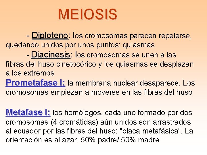 MEIOSIS - Diploteno: Diploteno los cromosomas parecen repelerse, quedando unidos por unos puntos: quiasmas