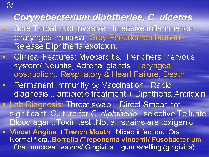 3/ Corynebacterium diphtheriae, C. ulcerns § Sore Throat. . Not invasive. . Intensive inflammation