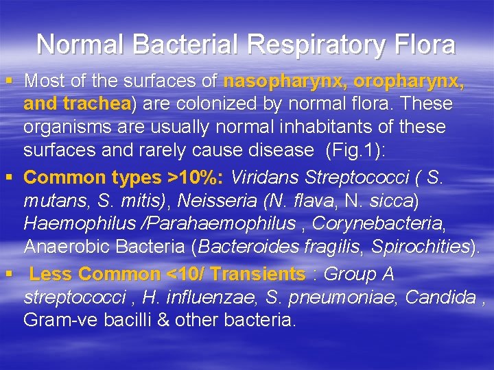 Normal Bacterial Respiratory Flora § Most of the surfaces of nasopharynx, oropharynx, and trachea)