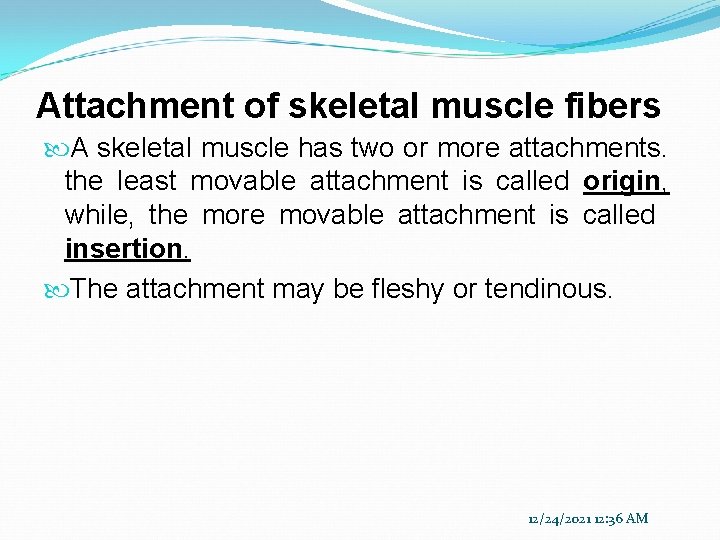 Attachment of skeletal muscle fibers A skeletal muscle has two or more attachments. the