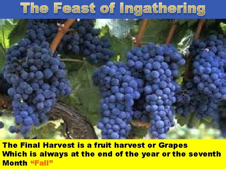 The Feast ofof Ingathering Nations The Day of Atonement or Yom Kippur 5 days